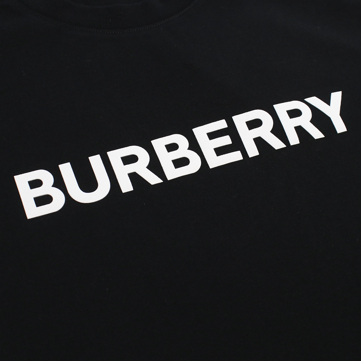 Armerie Boutique / バーバリー BURBERRY レディース Ｔシャツ